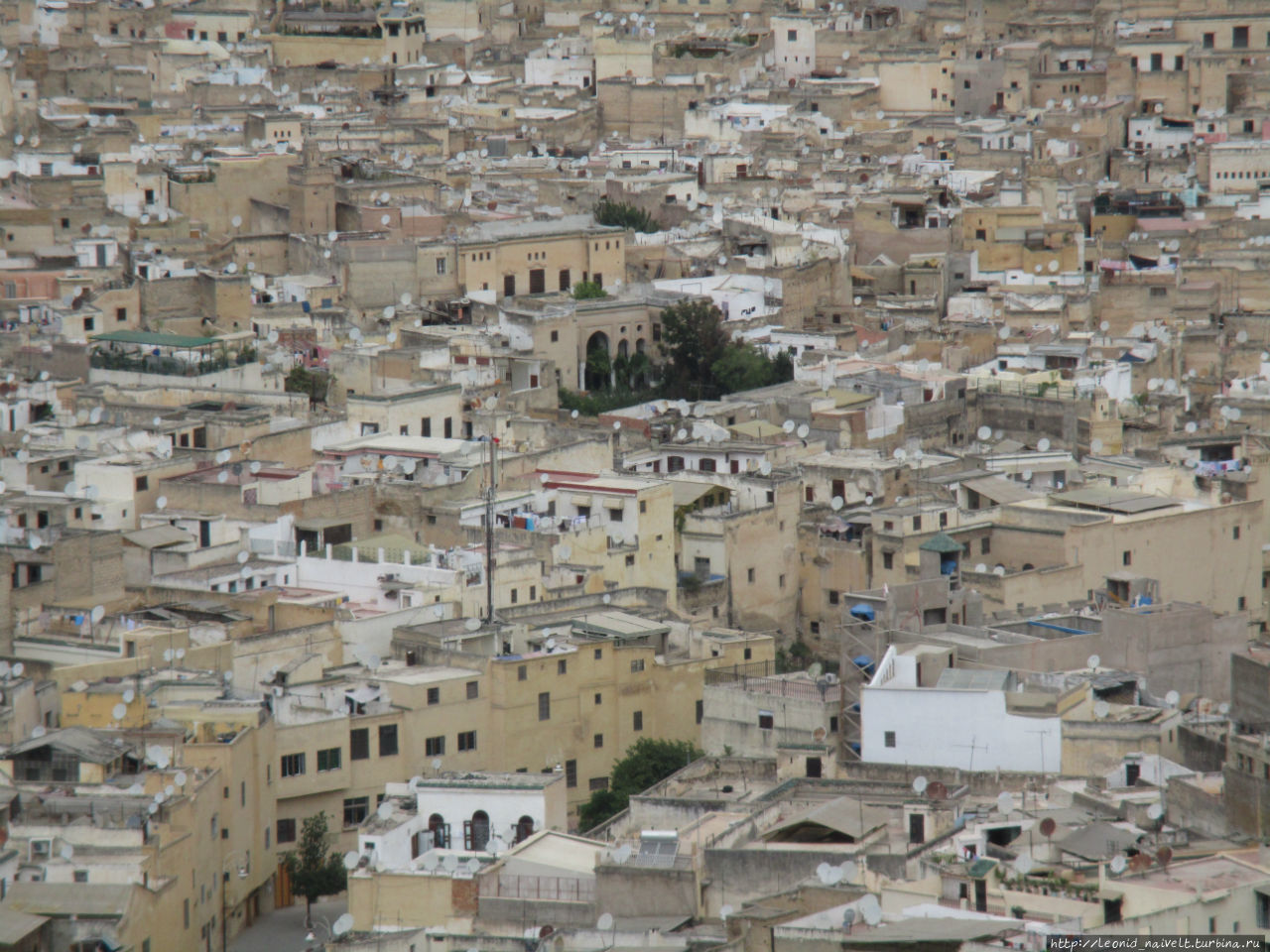 Марокко. Часть 5. Залечь на дно в Фесе