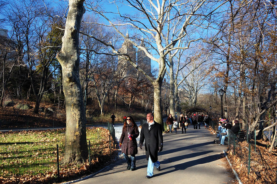 По аллеям Центрального Парка прогуливаются пешеходы Нью-Йорк, CША