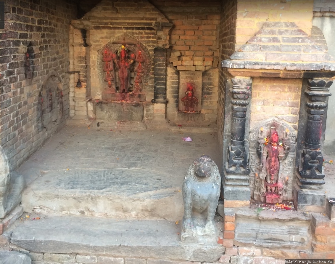 Из интернета