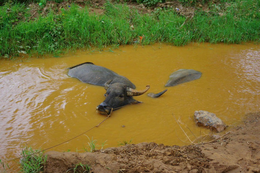 Озеро Инле. Притон наркоторговцев и людоедов Озеро Инле, Мьянма