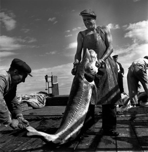 Учимся у мастеров! Урок шестой: Роберт Капа Москва, Россия