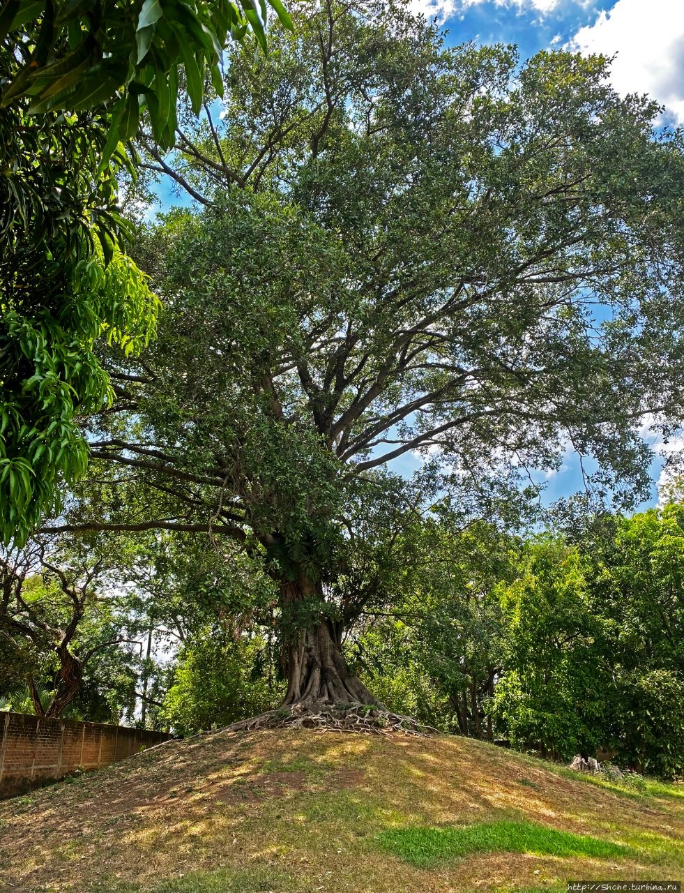 Архитектурный комплекс Тасумаль Чалчуапа, Сальвадор Архитектурный комплекс Тасумаль Чалчуапа, Сальвадор