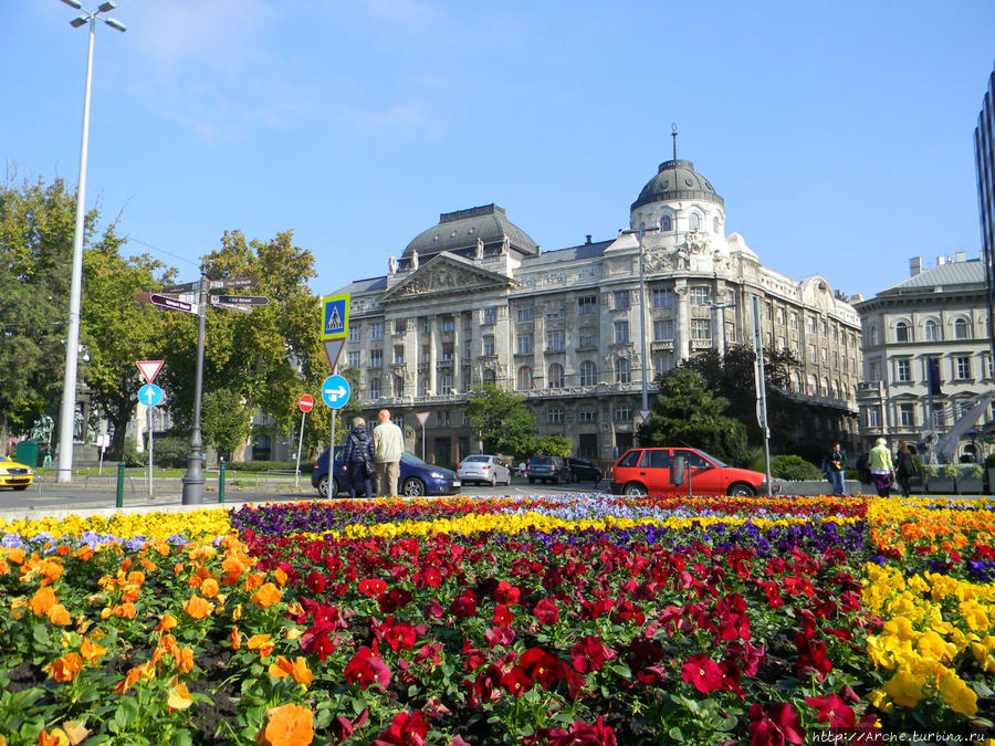 Цветы! Будапешт, Венгрия