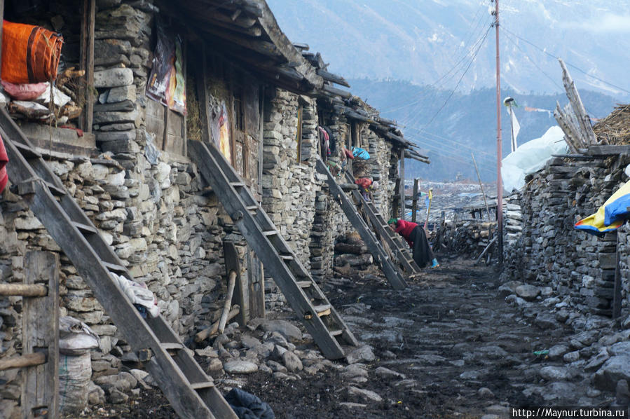 Жилые   дома.   Улица   покрыта   слоем   засохшего   навоза. Покхара, Непал
