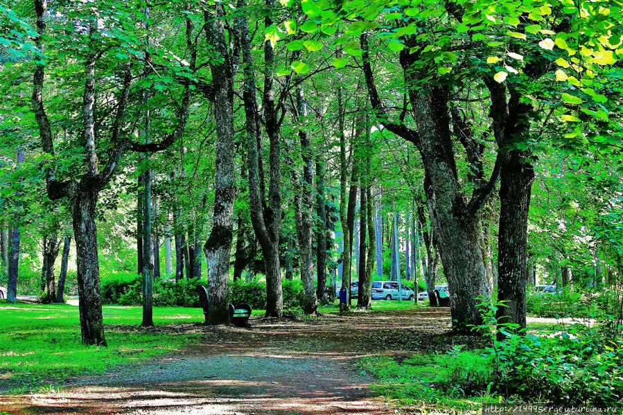 Светлый парк Нарвы-Йыэсуу и некоторые его истории Нарва-Йыэсуу, Эстония