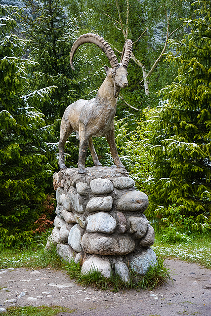 Северный Тянь-Шань, июнь 2013г. Киргизия