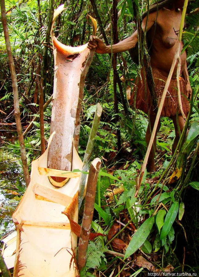 Устройство для получения саговой муки. Все сделано из пальмы. Джайпура, Индонезия