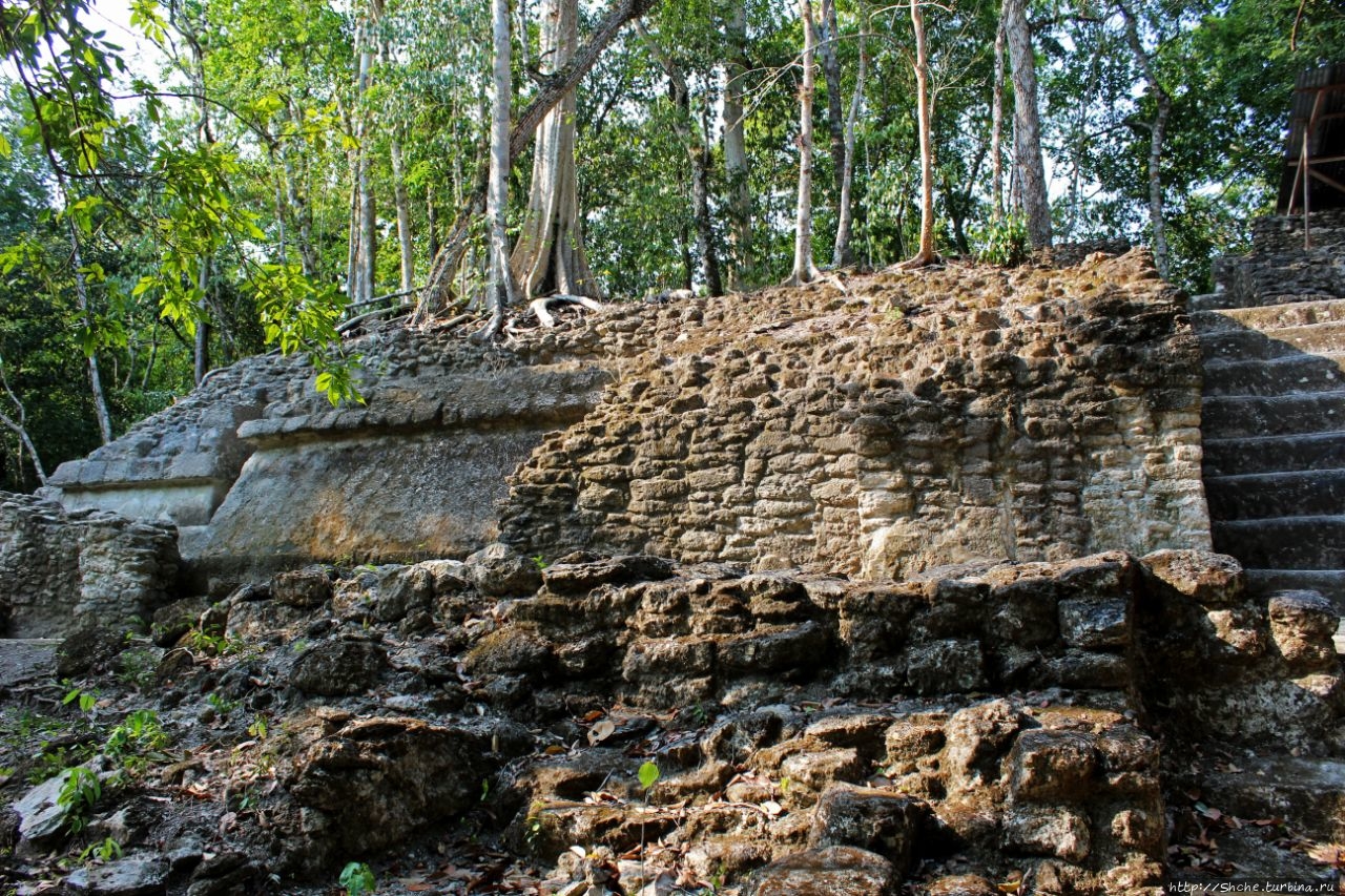 Эль Мирадор Эль-Мирадор  (город майя), Гватемала