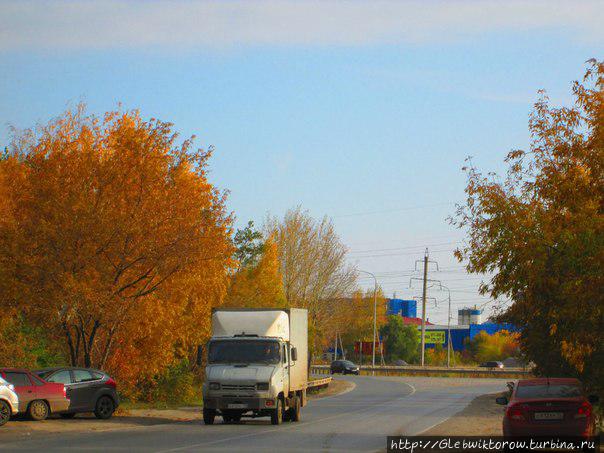 Прогулка по Гилевской роще Тюмень, Россия