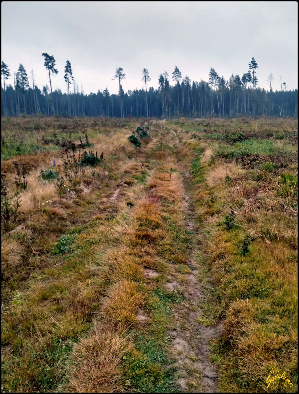 Дорога в Лавру Сергиев Посад, Россия