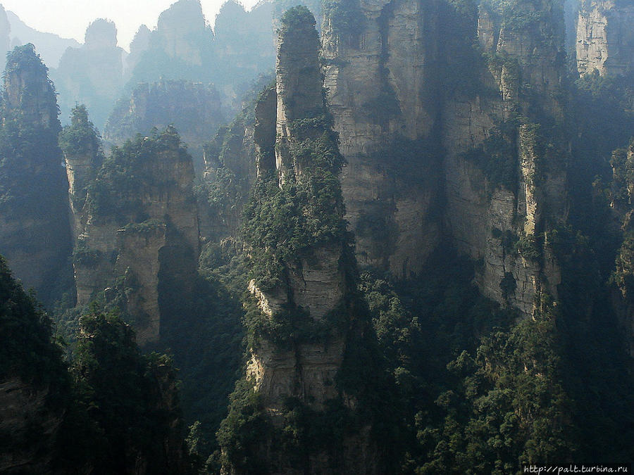 Нереальная красота реальных гор Чжанцзяцзе Национальный Лесной Парк (Парк Аватар), Китай