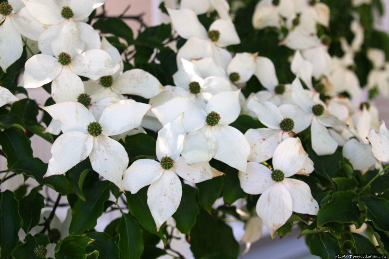 Мистический город Мистик, CША