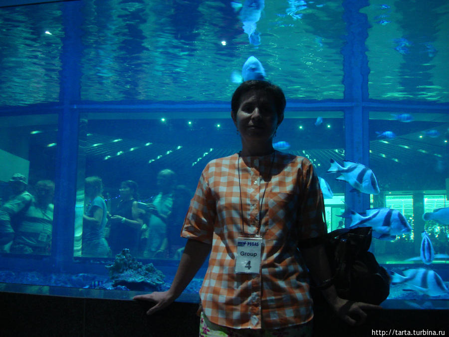 У аквариумов с морскими обитателями Пхукет, Таиланд