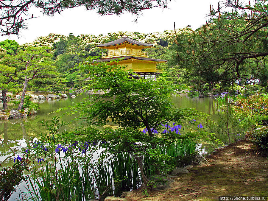 обойдем немного павильон вокруг озера Киото, Япония