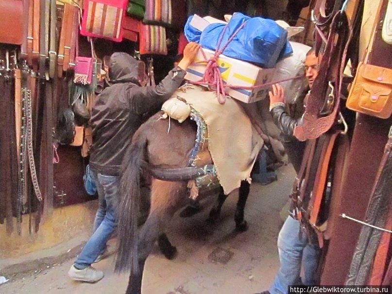 Фес. Медина Фес, Марокко