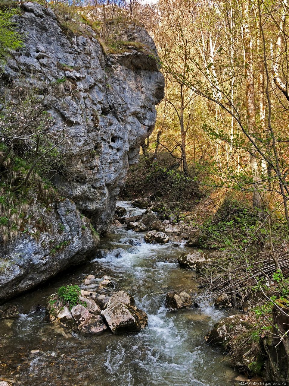 Пещера Болии Беница, Румыния