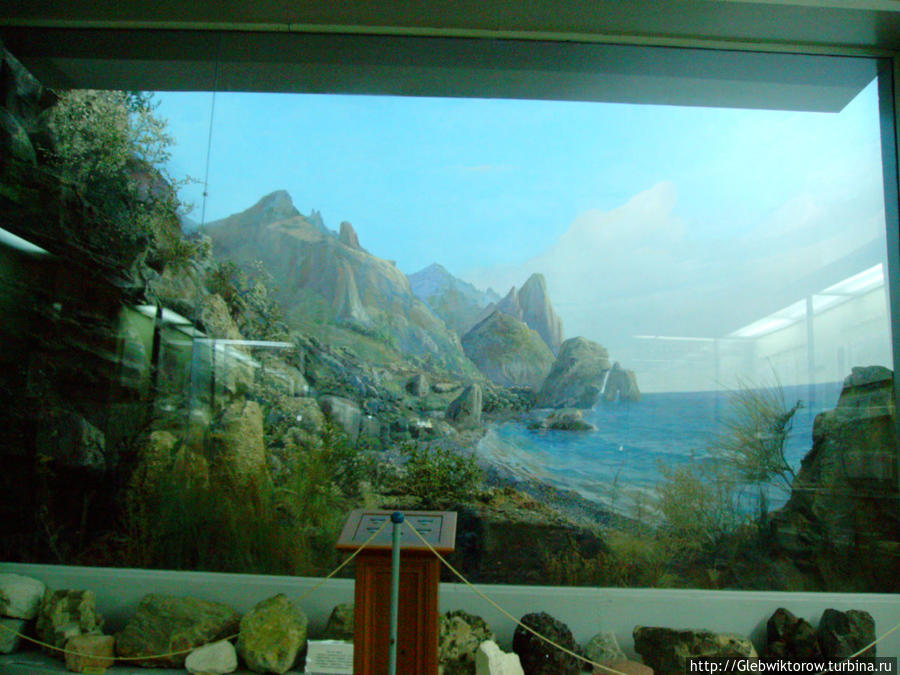 Національний науково- природничий музей