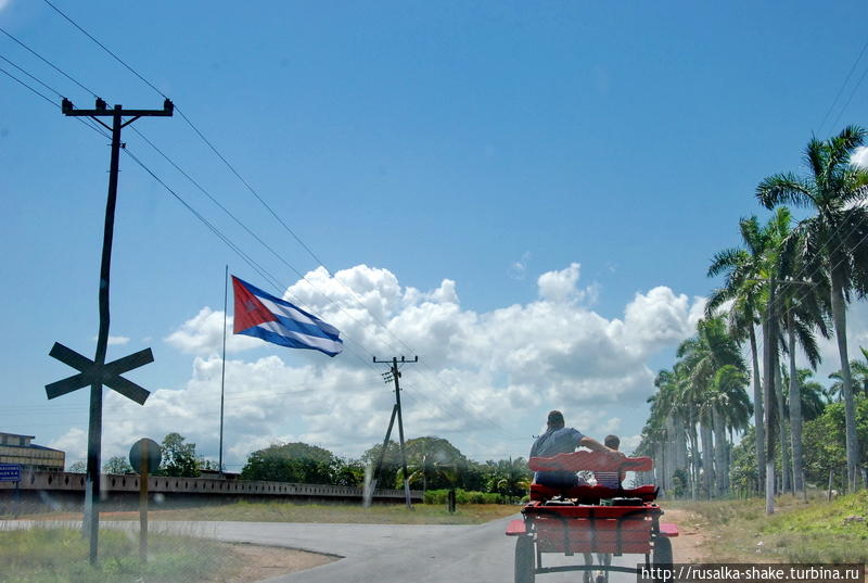 Город гигантских крабов и кубинских флагов