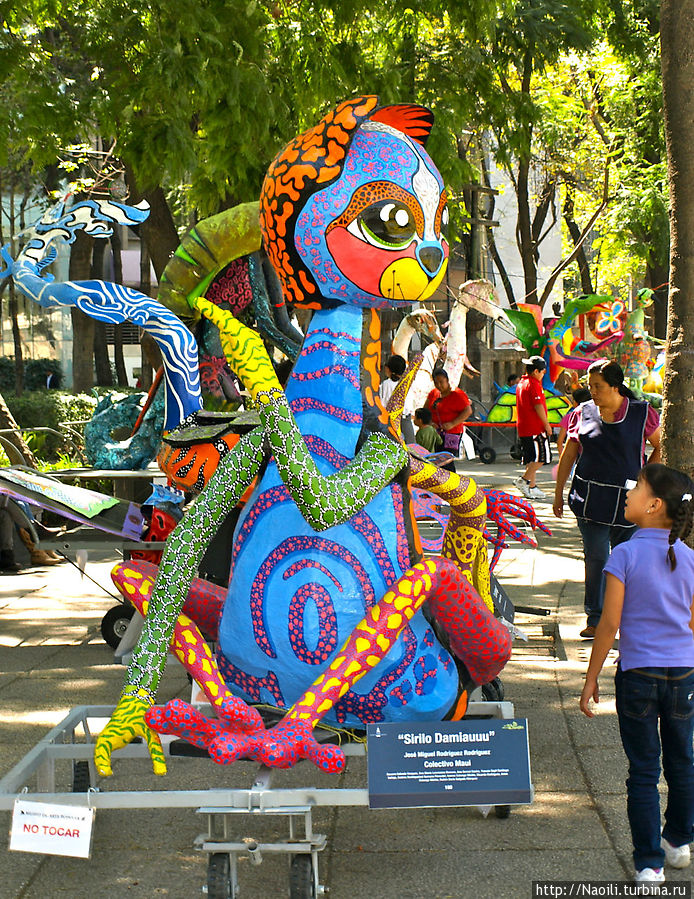 Алебрихес — найдите своего дракона (фото часть 3) Мехико, Мексика