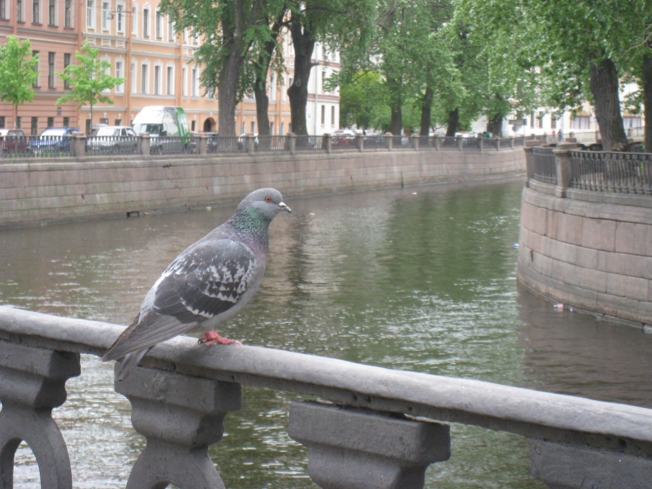 Коломна-петербургский уголок,известный с восемнадцатого века Санкт-Петербург, Россия