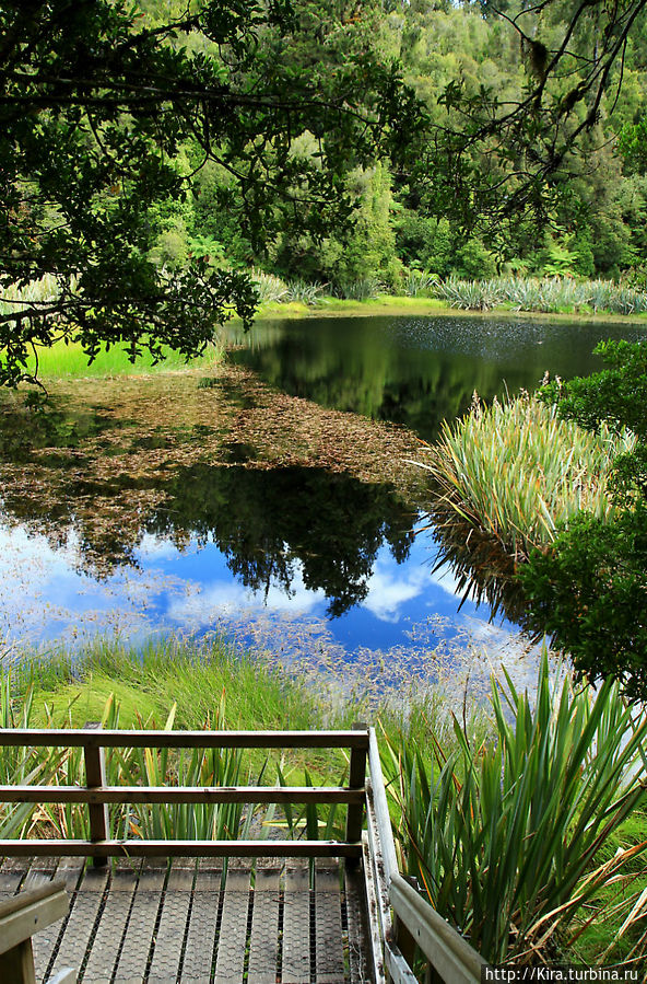 Lake Matheson Район Уэст-Кост, Новая Зеландия