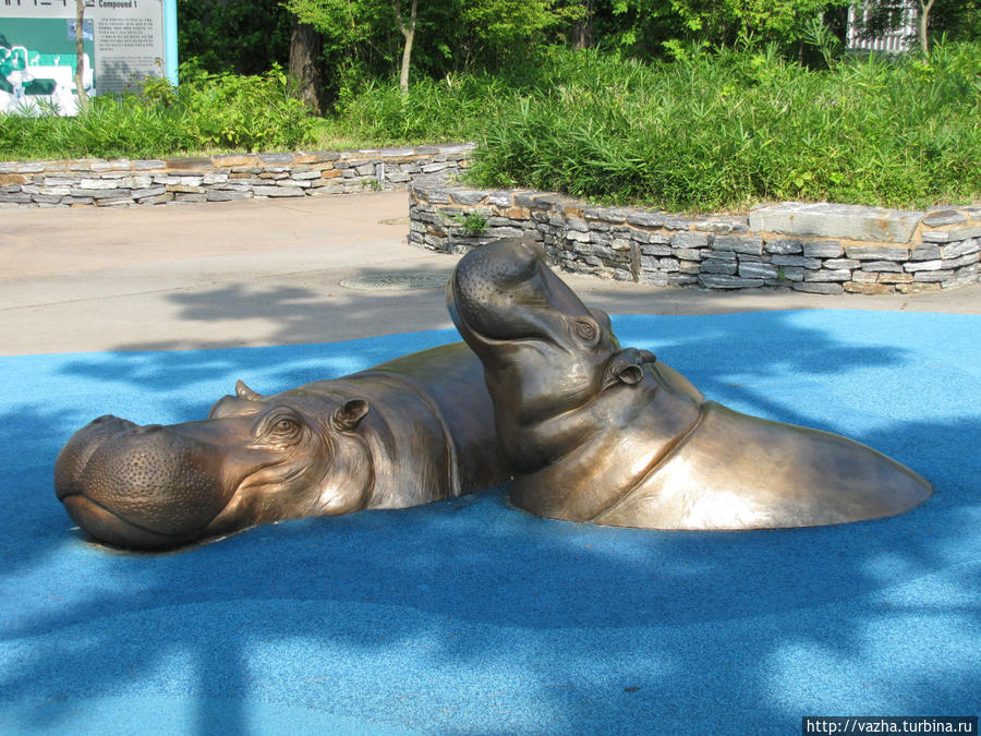 Зоопарк Сеула. Первая часть. Сеул, Республика Корея