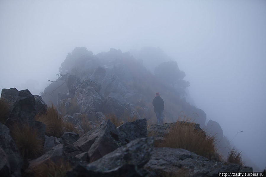 На вершине всё окончательно утонуло в тумане