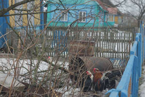 Похоже местные жители любят яркие цвета..