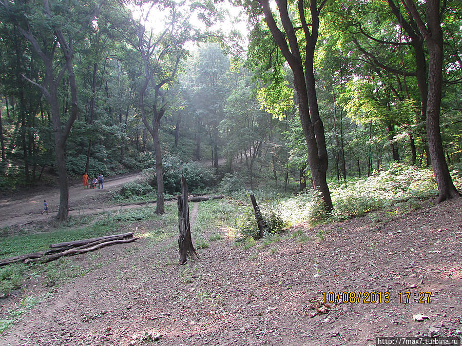 Немного погуляем по лесу Саратов, Россия
