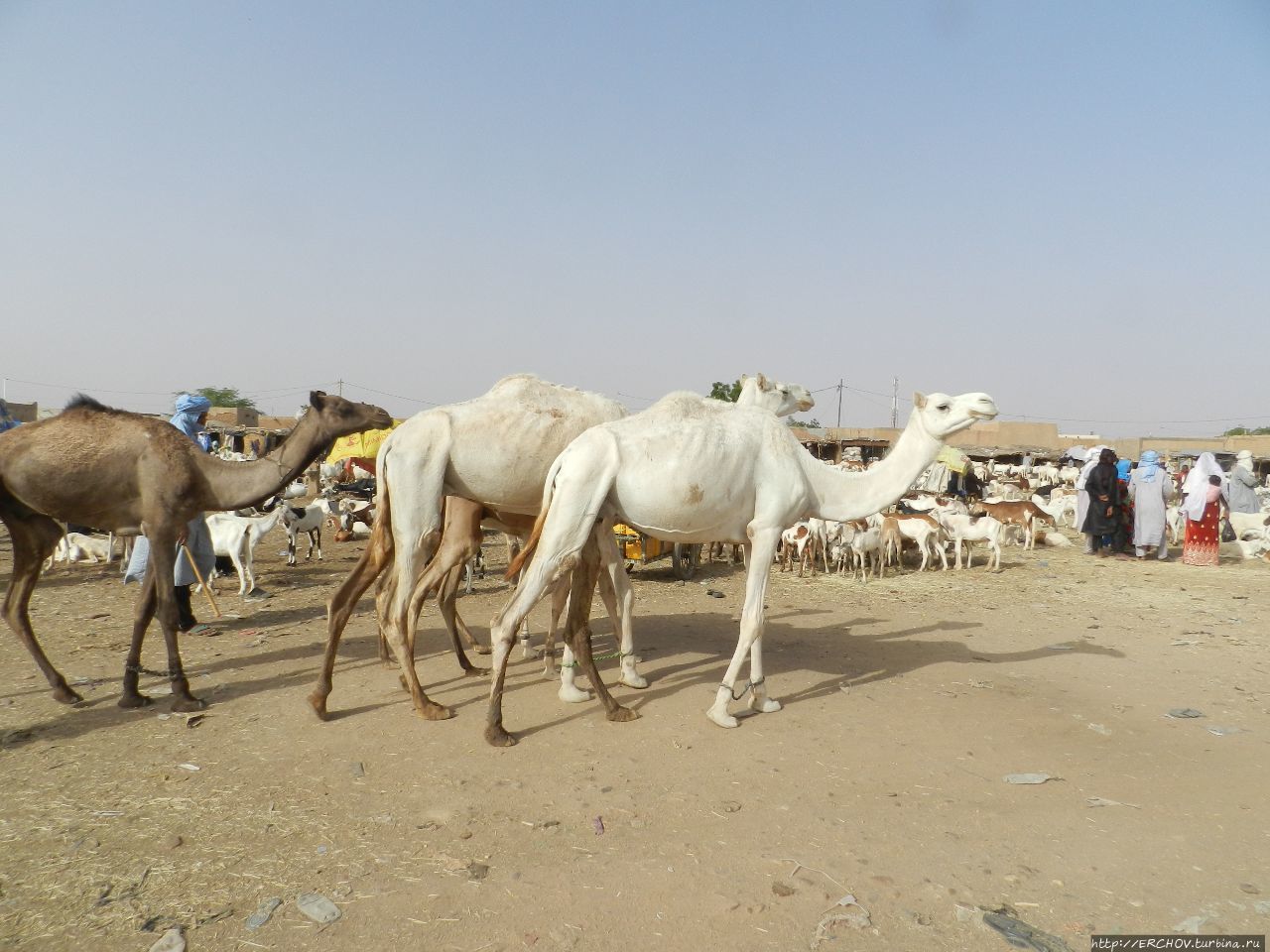 Нигер. Ч — 20. Агадес и его жители Агадес, Нигер
