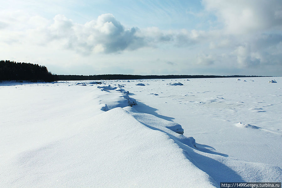 Самая лучшая планета Сосновый Бор, Россия