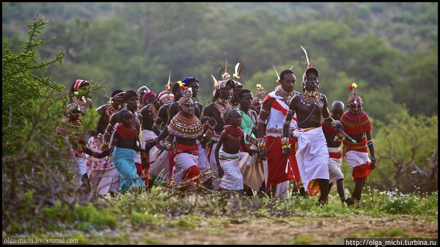 Племя Масаи. Традиции неизменные временем Тамбуру Национальный Парк, Кения