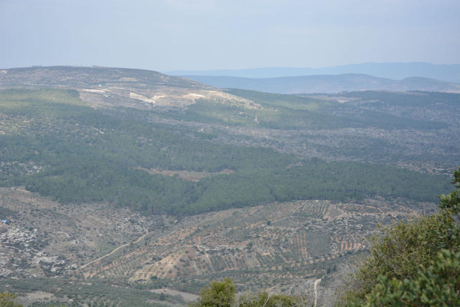 Святая гора Фавор и Иезреельская долина