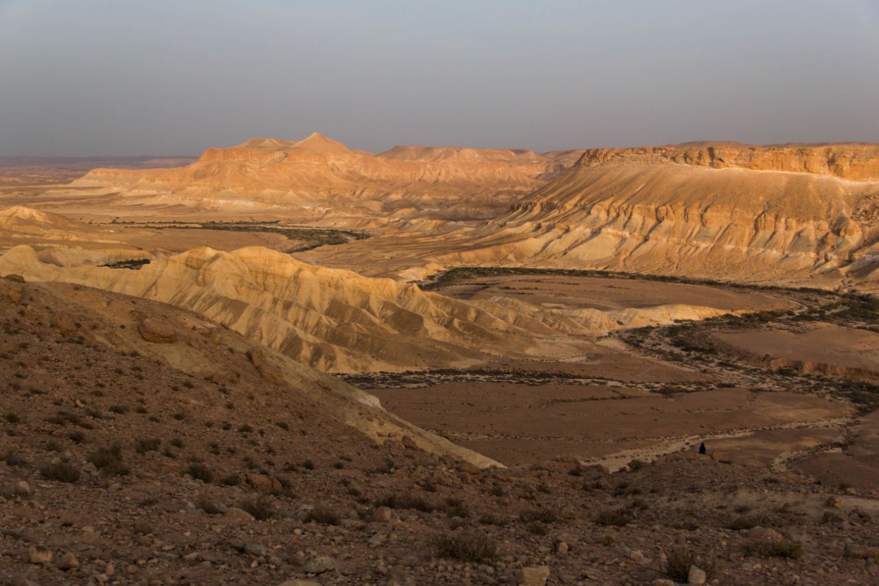 Пустыня Негев. Ущелье Цин Негев Пустыня, Израиль