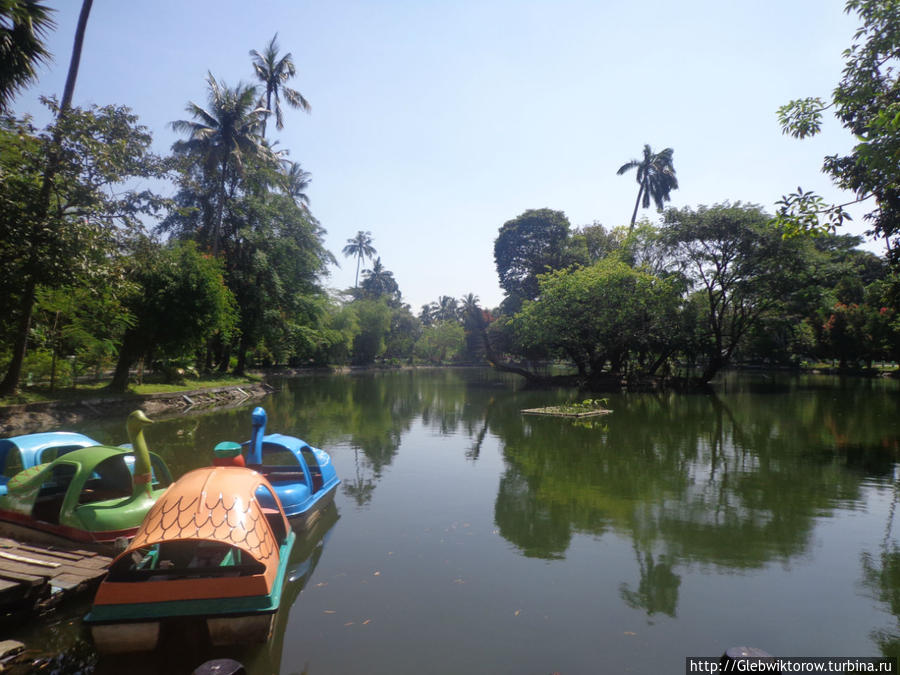 Yangon Zoological Garden Янгон, Мьянма