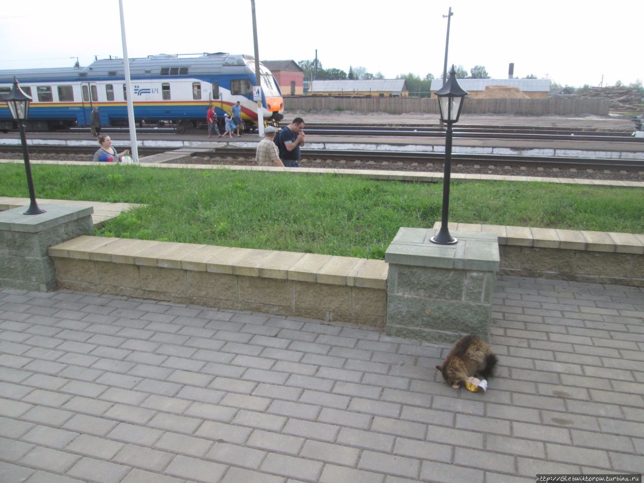 Поездка в Ельск Ельск, Беларусь