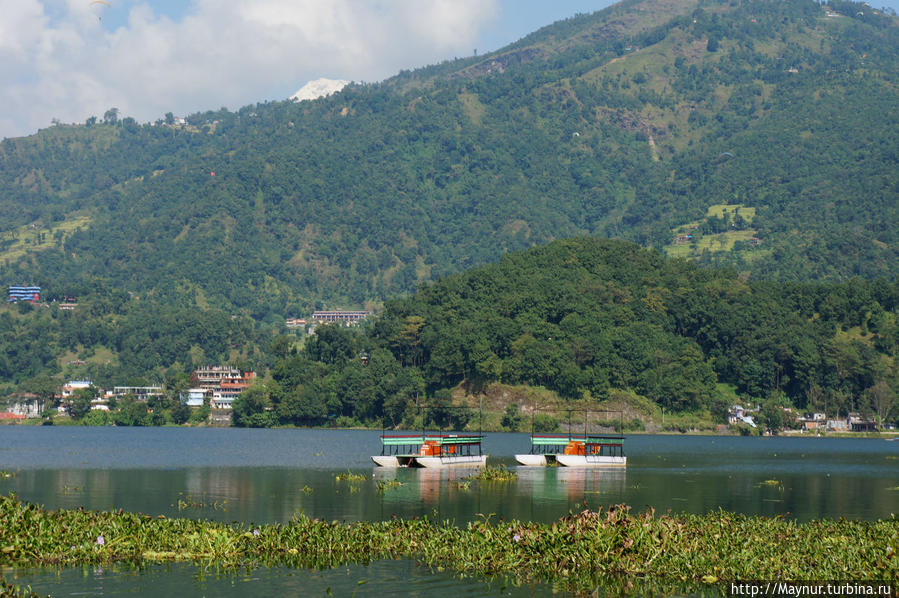 Жизнь    озера... Покхара, Непал