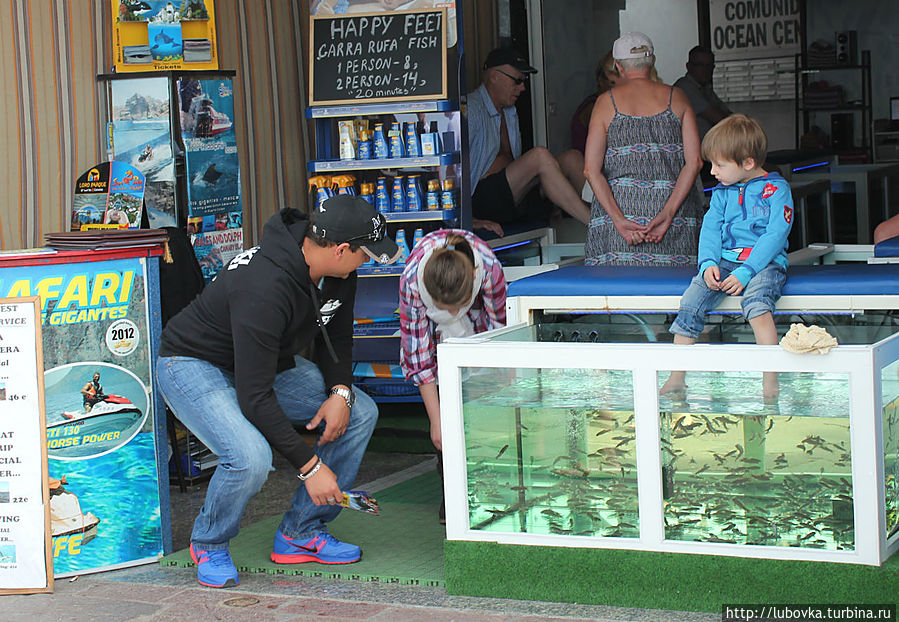 Досуг отдыхающих с рыбками Carra-Rufa.
