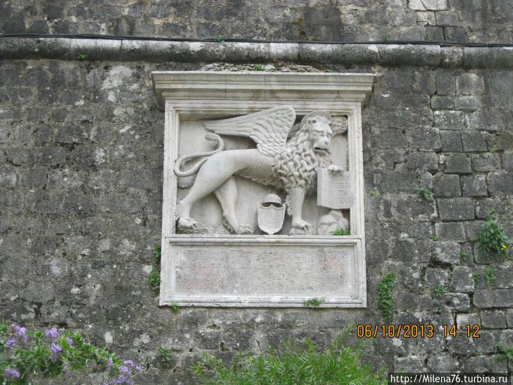 Венецианские львы