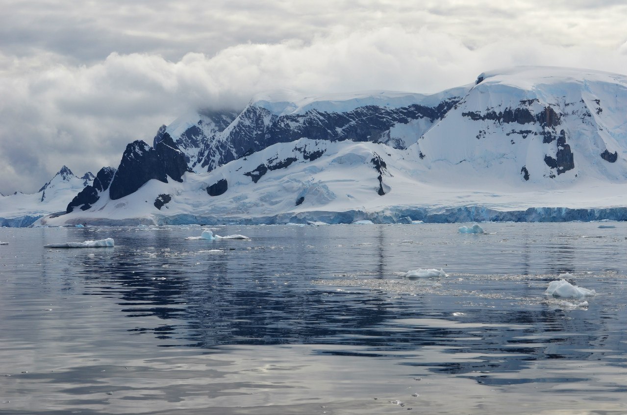 Королева антарктиды. Антарктическое царство. Антарктика или Антарктида. Lake Vostok in Antarctica. Где живет Альбатрос в Арктике или Антарктиде.