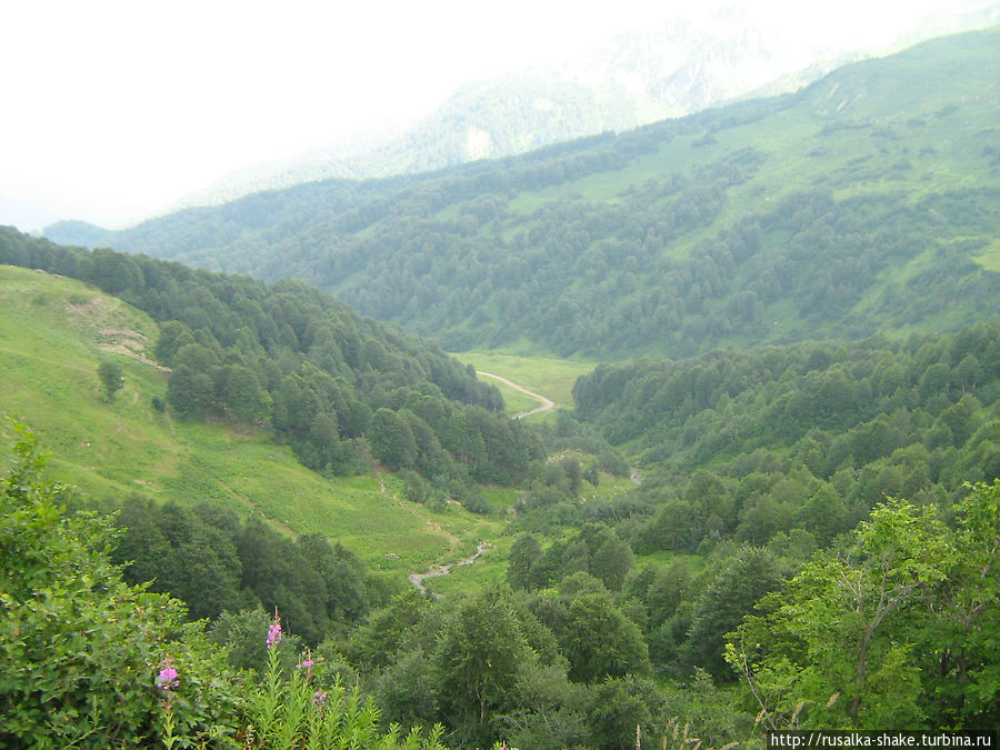 Страна, захваченная природой Абхазия