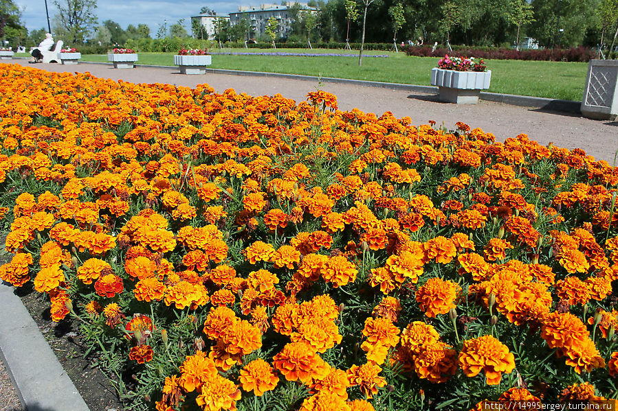 Ломоносов. Прогулка по городу Ломоносов, Россия