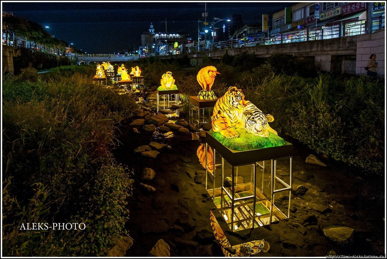 Ночные светящиеся тигры Сувона  (Вокруг Южной Кореи ч14)