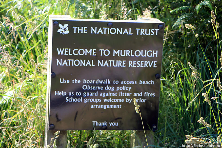 что ж, лэтс гоу Мерлаф Природный Парк, Великобритания