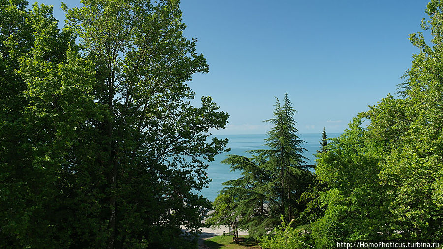 Черное Море Бзыбь, Абхазия