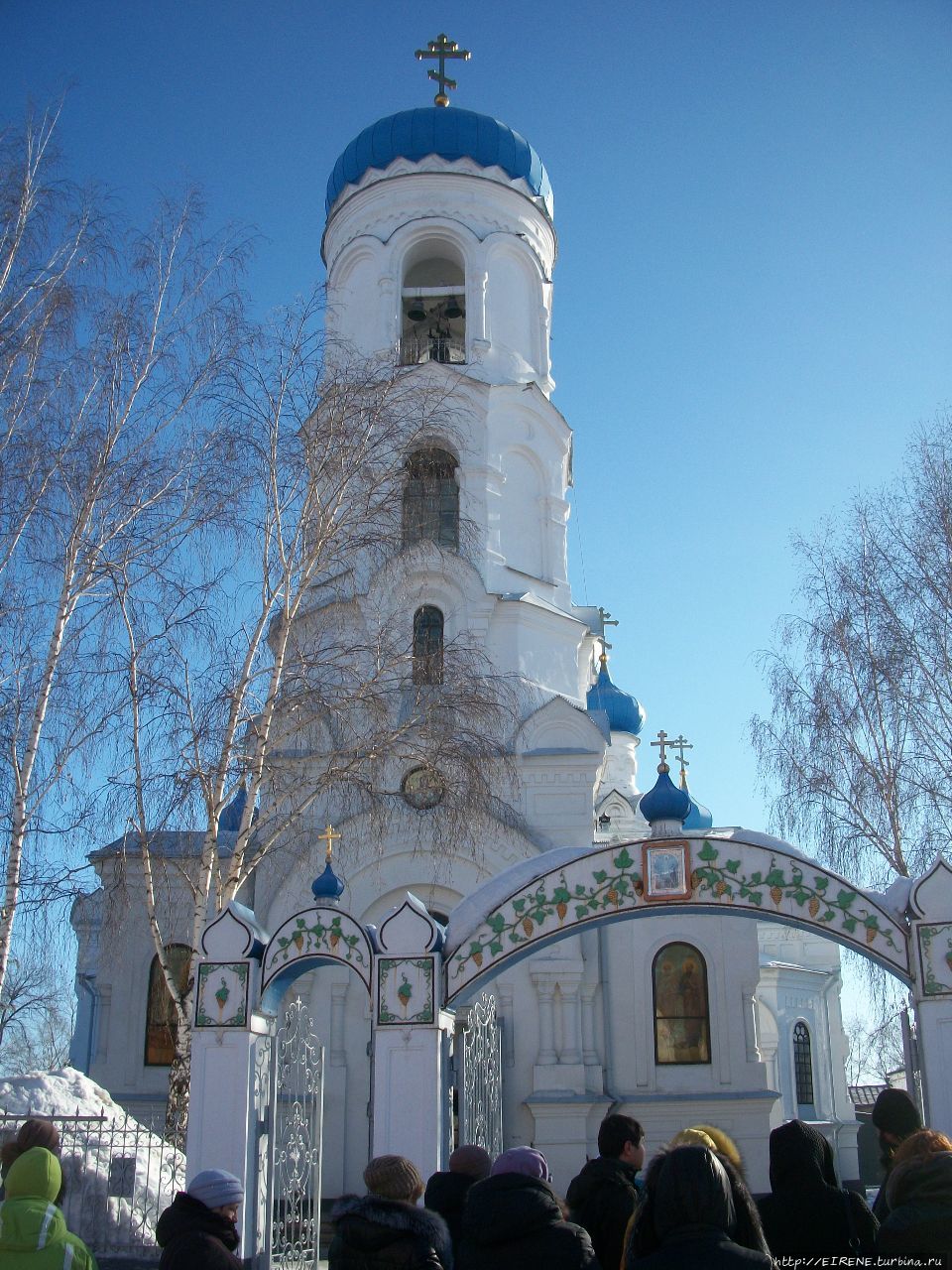 Лебединая песня из Алтайской зимовки Бийск, Россия