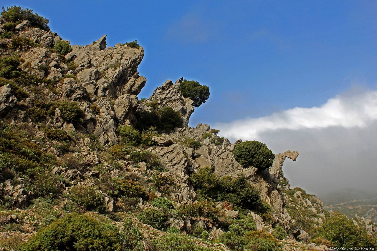гора Джебель эль-Келаа Талассемтане Национальный Парк, Марокко