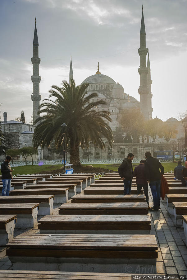 В Голубой Мечети Стамбул, Турция