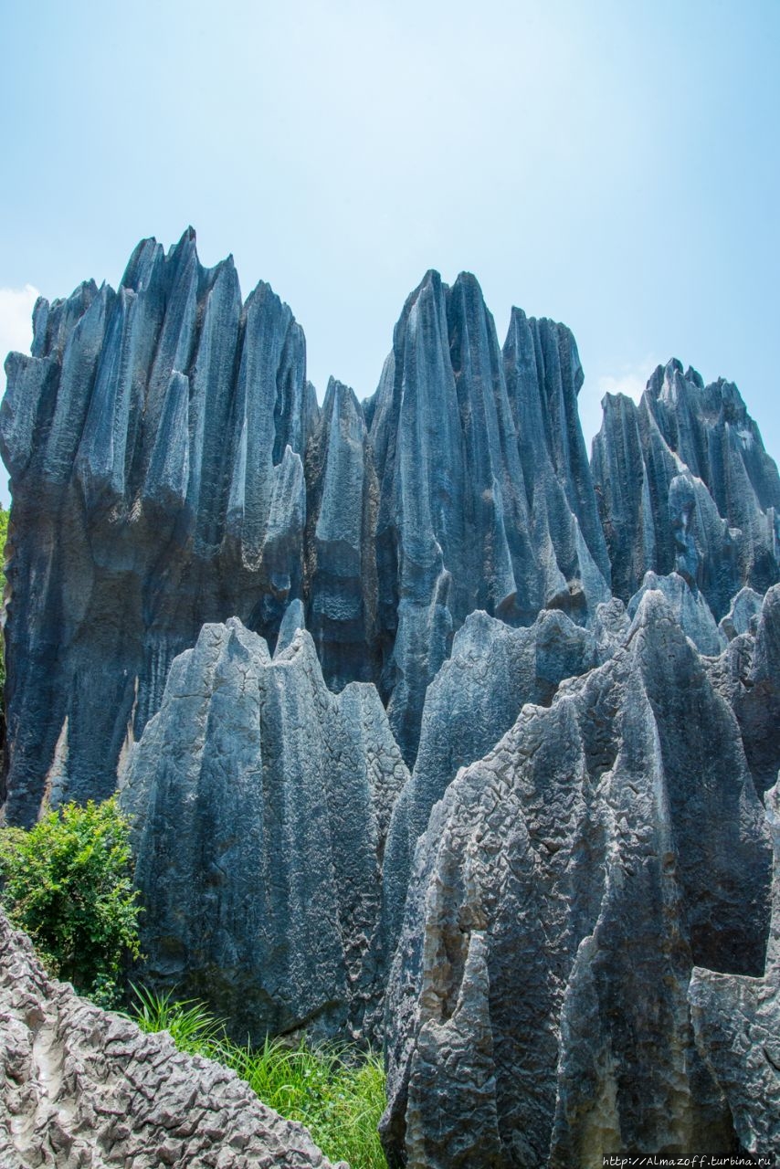 Каменный лес Шилинь - визитная карточка Куньминя
