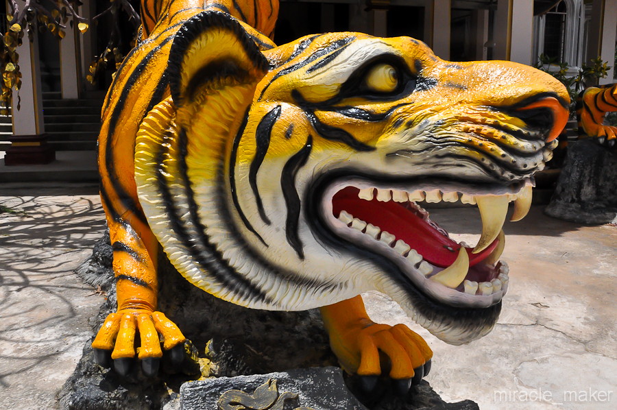 Чем не персонаж из оскароносного фильма «Жизнь Пи»?